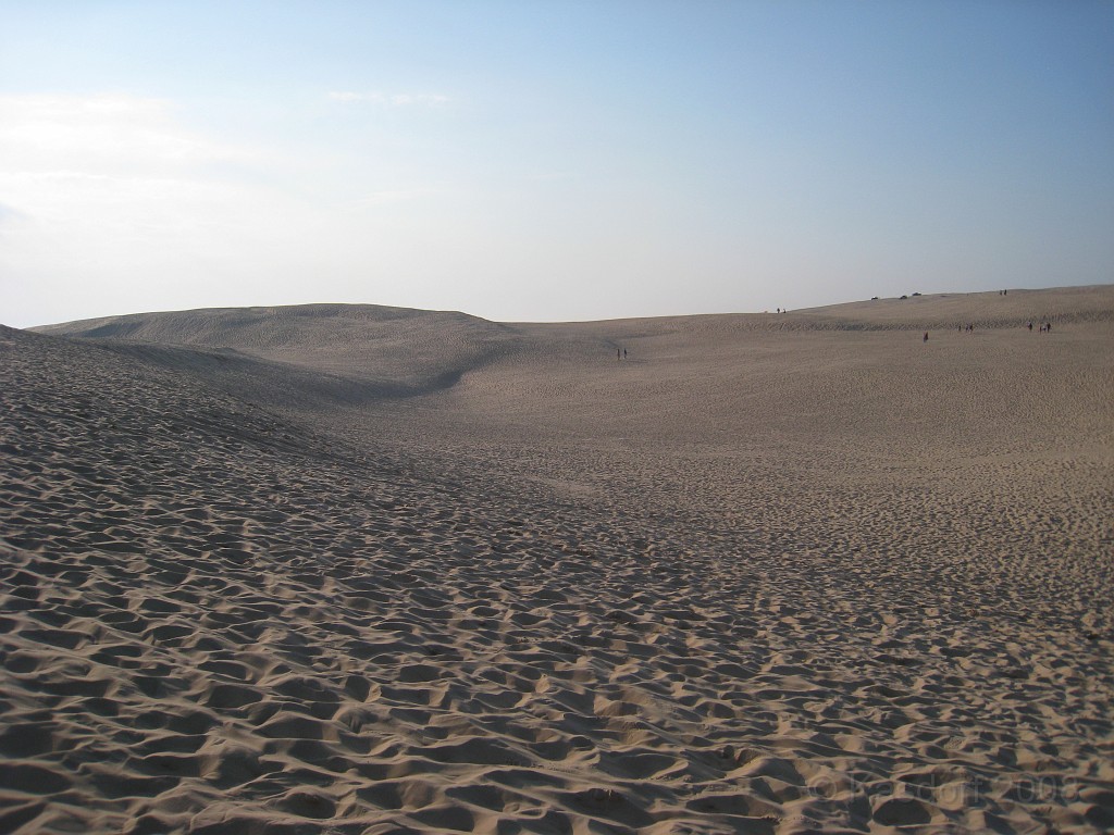 Michigans West Coast 2009 0245.jpg - Labor Day 2009. A trip along Michigans west coast to see beachs, art and buffets.